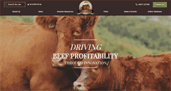 Desktop Screenshot of bigbeef.co.uk